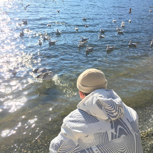 污网站大全免费
