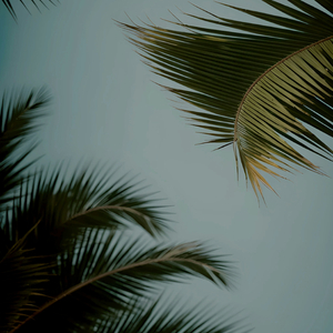 污网站大全免费
