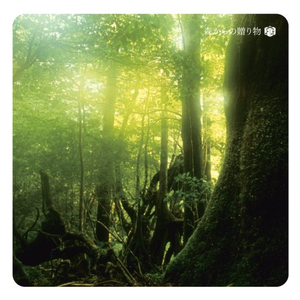 污网站大全免费
