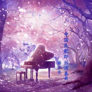 污网站大全免费
