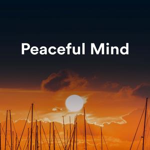 污网站大全免费
